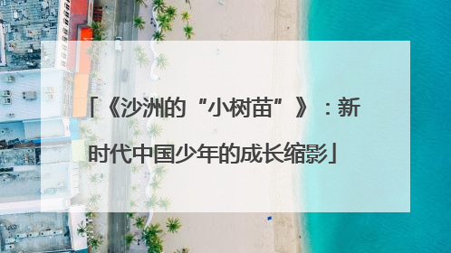《沙洲的“小树苗”》：新时代中国少年的成长缩影