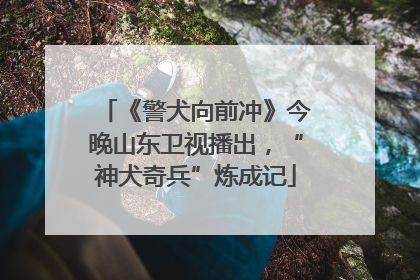 《警犬向前冲》今晚山东卫视播出，“神犬奇兵”炼成记