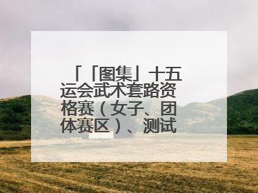 「图集」十五运会武术套路资格赛（女子、团体赛区）、测试赛在南沙开赛