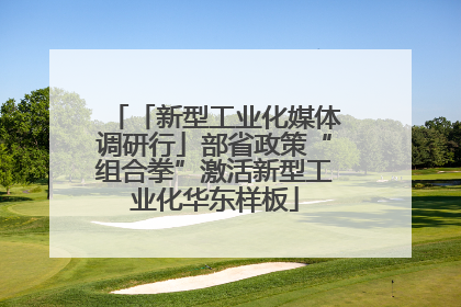 「新型工业化媒体调研行」部省政策“组合拳”激活新型工业化华东样板