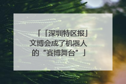 「深圳特区报」文博会成了机器人的“赛博舞台”