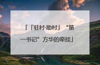 「驻村·助村」“第一书记”方华的牵挂