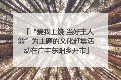 “爱我上饶·当好主人翁”为主题的文化赶集活动在广丰东阳乡开市