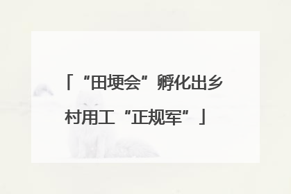 “田埂会”孵化出乡村用工“正规军”