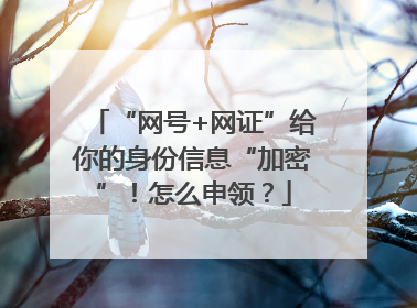 “网号+网证”给你的身份信息“加密”！怎么申领？