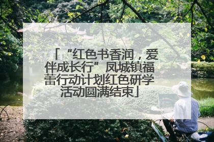 “红色书香润，爱伴成长行”凤城镇福蕾行动计划红色研学活动圆满结束