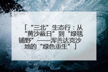 “三北”生态行：从“黄沙蔽日”到“绿毯铺野”——浑善达克沙地的“绿色重生”