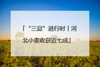 “三夏”进行时丨河北小麦收获近七成