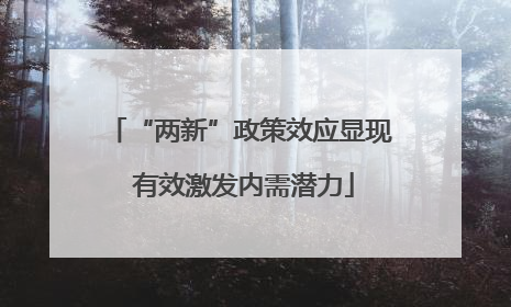 “两新”政策效应显现 有效激发内需潜力