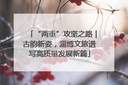 “两重”攻坚之路｜古韵新姿，淄博文旅谱写高质量发展新篇
