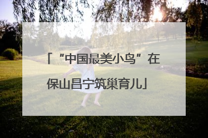 “中国最美小鸟”在保山昌宁筑巢育儿