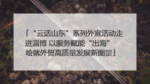 “云话山东”系列外宣活动走进淄博 以服务赋能“出海” 绘就外贸高质量发展新图景