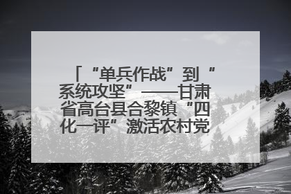 “单兵作战”到“系统攻坚”——甘肃省高台县合黎镇“四化一评”激活农村党员管理新引擎