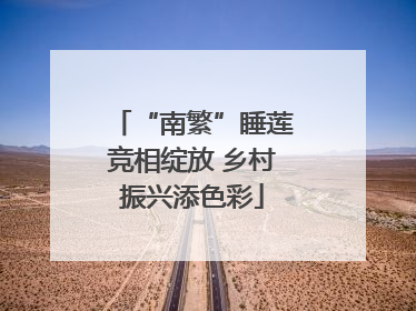 “南繁”睡莲竞相绽放 乡村振兴添色彩