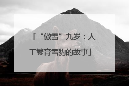 “傲雪”九岁：人工繁育雪豹的故事