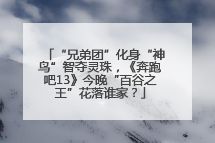 “兄弟团”化身“神鸟”智夺灵珠，《奔跑吧13》今晚“百谷之王”花落谁家？