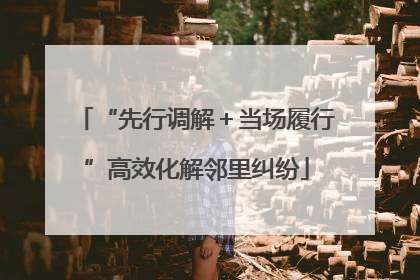 “先行调解＋当场履行”高效化解邻里纠纷