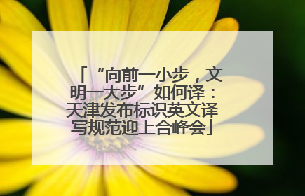 “向前一小步，文明一大步”如何译：天津发布标识英文译写规范迎上合峰会