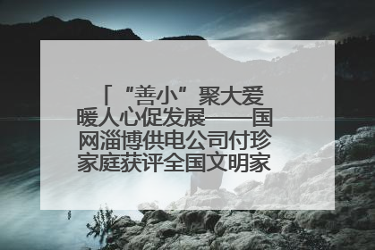 “善小”聚大爱 暖人心促发展——国网淄博供电公司付珍家庭获评全国文明家庭背后的文明密码