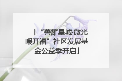 “善耀星城·微光暖开福”社区发展基金公益季开启