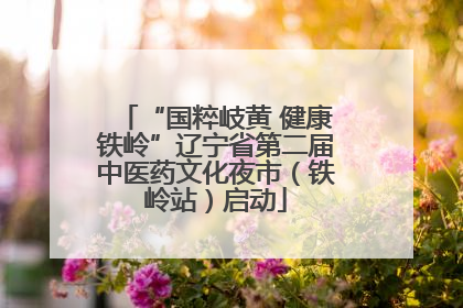 “国粹岐黄 健康铁岭”辽宁省第二届中医药文化夜市（铁岭站）启动
