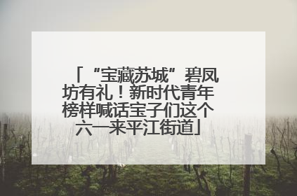 “宝藏苏城”碧凤坊有礼！新时代青年榜样喊话宝子们这个六一来平江街道