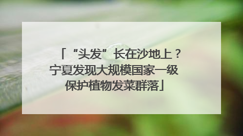 “头发”长在沙地上？宁夏发现大规模国家一级保护植物发菜群落