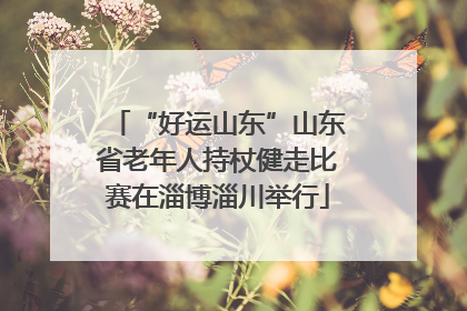 “好运山东”山东省老年人持杖健走比赛在淄博淄川举行
