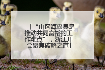 “山区海岛县是推动共同富裕的工作难点”，浙江开会聚焦破解之道