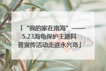 “我的家在南海”——5.23海龟保护主题科普宣传活动走进永兴岛