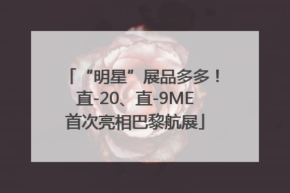 “明星”展品多多！直-20、直-9ME首次亮相巴黎航展