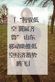 “智驭低空 翼展齐鲁” 山东移动助推低空经济蓄势腾飞