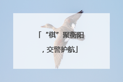 “棋”聚衡阳，交警护航
