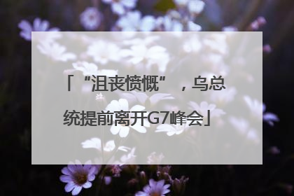 “沮丧愤慨”，乌总统提前离开G7峰会
