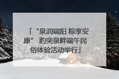“泉润端阳 粽享安康” 趵突泉畔端午民俗体验活动举行