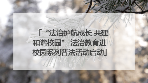 “法治护航成长 共建和谐校园” 法治教育进校园系列普法活动启动