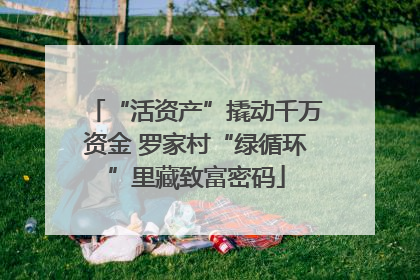 “活资产”撬动千万资金 罗家村“绿循环”里藏致富密码