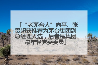 “老茅台人”向平、张贵超获推荐为茅台集团副总经理人选，后者是集团最年轻党委委员
