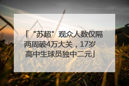 “苏超”观众人数仅隔两周破4万大关，17岁高中生球员独中二元