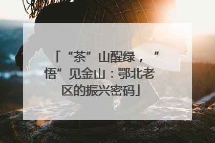 “茶”山醒绿，“悟”见金山：鄂北老区的振兴密码