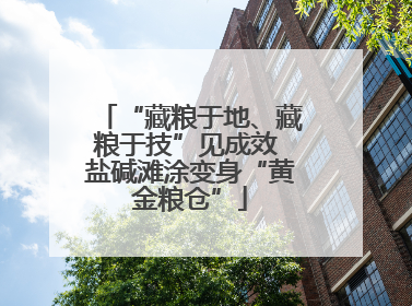 “藏粮于地、藏粮于技”见成效 盐碱滩涂变身“黄金粮仓”
