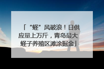 “蛏”风破浪！日供应量上万斤，青岛最大蛏子养殖区滩涂掘金