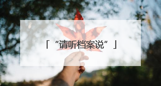 “请听档案说”