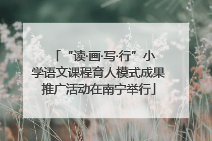 “读·画·写·行”小学语文课程育人模式成果推广活动在南宁举行