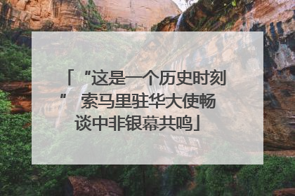 “这是一个历史时刻” 索马里驻华大使畅谈中非银幕共鸣