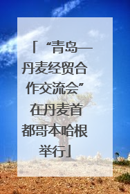 “青岛—丹麦经贸合作交流会” 在丹麦首都哥本哈根举行