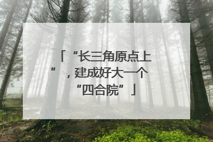 “长三角原点上”，建成好大一个“四合院”