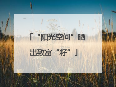 “阳光空间”晒出致富“籽”