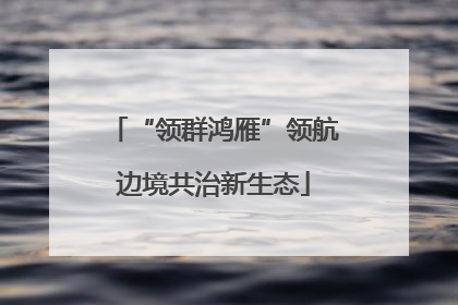 “领群鸿雁”领航边境共治新生态