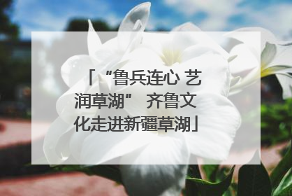 “鲁兵连心 艺润草湖” 齐鲁文化走进新疆草湖